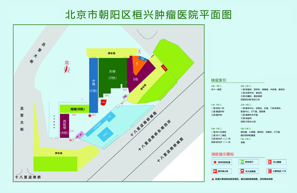 叼鸡操逼免费观看北京市朝阳区桓兴肿瘤医院平面图